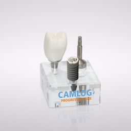 CAMLOG® Makromodell PROGRESSIVE-LINE Implantat (Maßstab 3:1) 