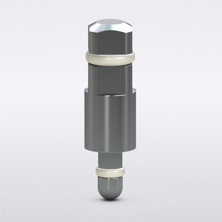 Internal Abutment-level EinbringInstrument, Ratsche 