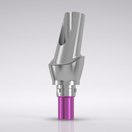 CAMLOG® Esthomic® Abutment, 15° abgewinkelt, Typ A 