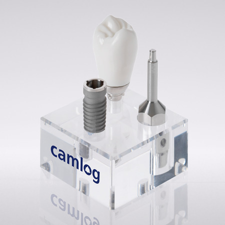 CAMLOG® Makromodell SCREW-LINE Implantat (Maßstab 3:1) 